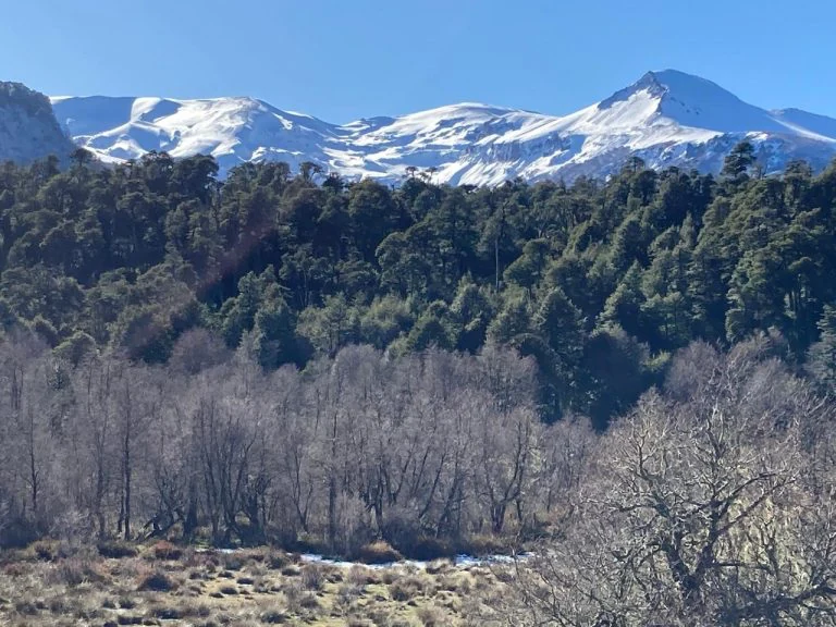 Cresta Volcán Sollipulli