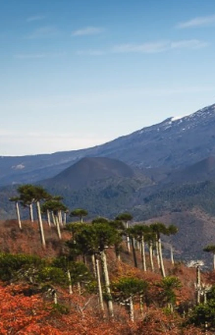 Inversores y Proyectos